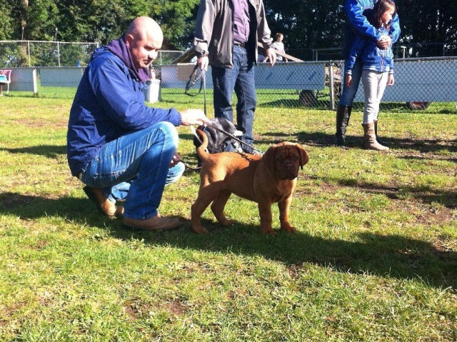 Guusje 1e puppy les 22-09-2012 030.jpg